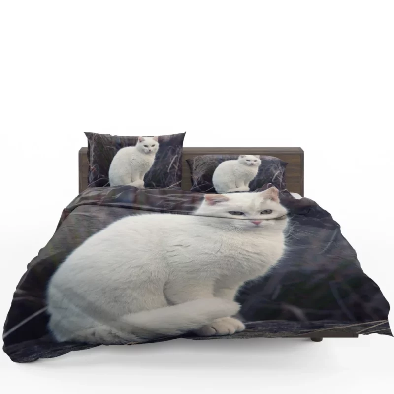 Cat Expressive Persona Bedding Set