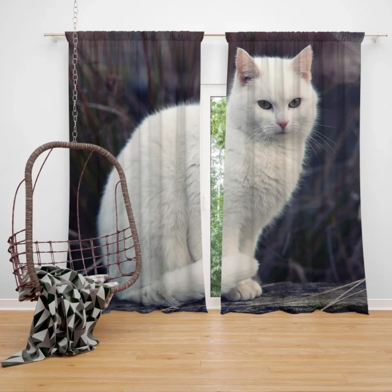 Cat Expressive Persona Curtain