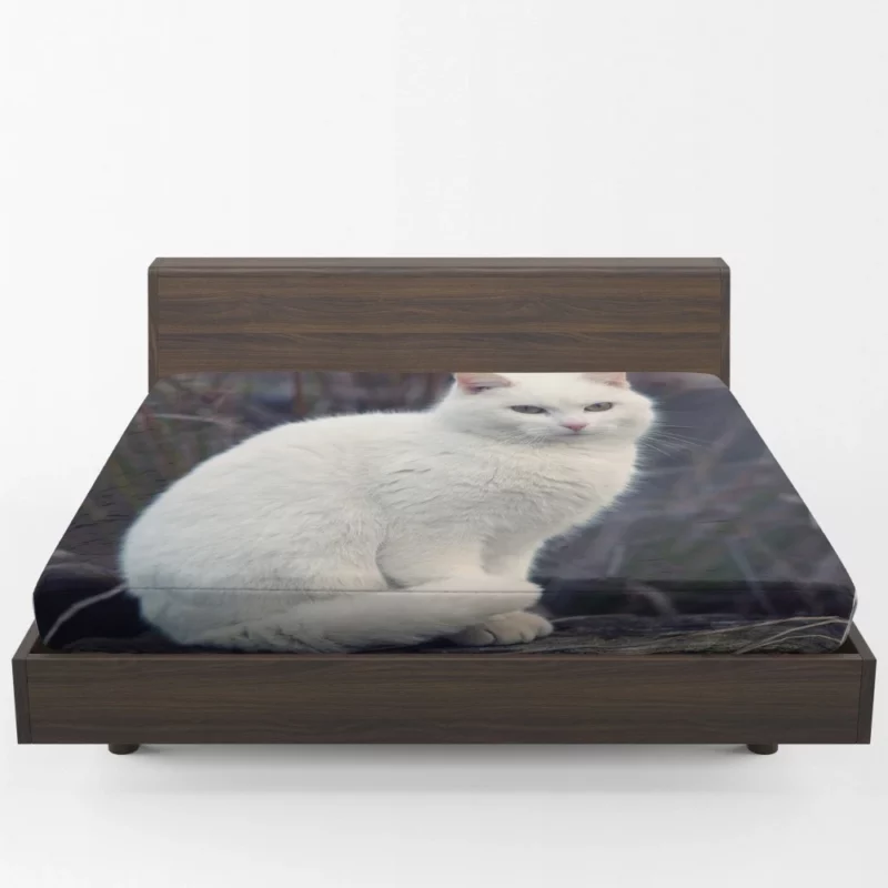 Cat Expressive Persona Fitted Sheet