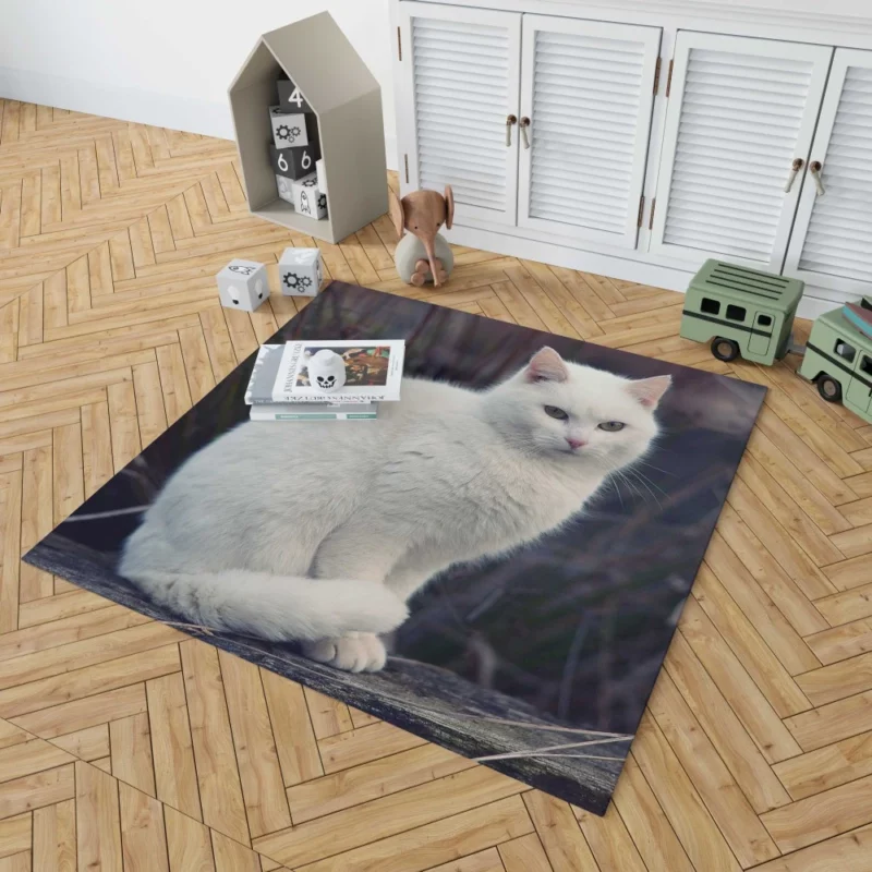 Cat Expressive Persona Rug 1