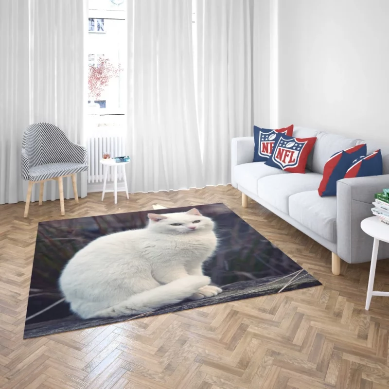 Cat Expressive Persona Rug 2