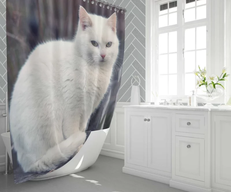 Cat Expressive Persona Shower Curtain 1