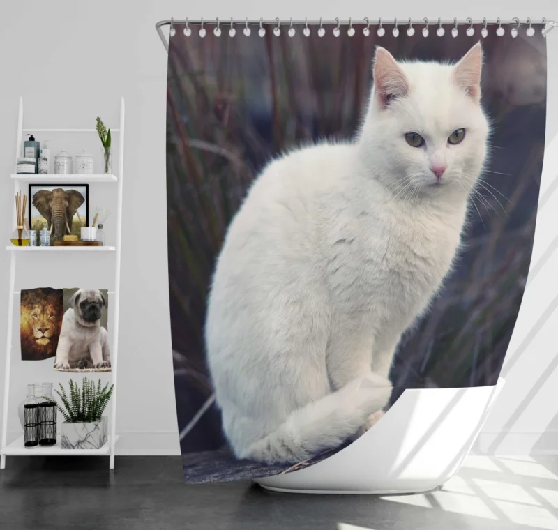 Cat Expressive Persona Shower Curtain