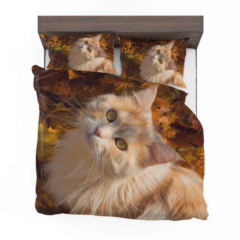 Cat Gaze Amidst Falling Leaves Feline Serenity Bedding Set 1