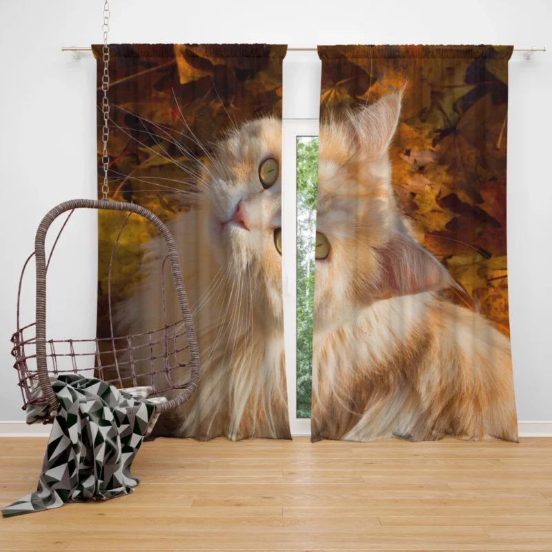 Cat Gaze Amidst Falling Leaves Feline Serenity Curtain