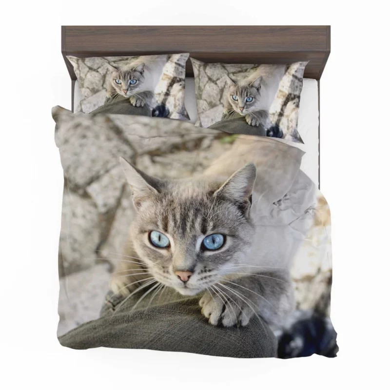 Cat Gaze Whiskered Exotic Bedding Set 1