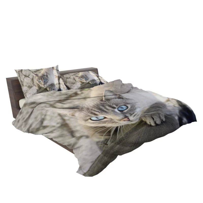 Cat Gaze Whiskered Exotic Bedding Set 2