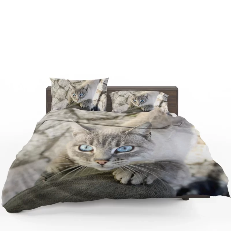 Cat Gaze Whiskered Exotic Bedding Set