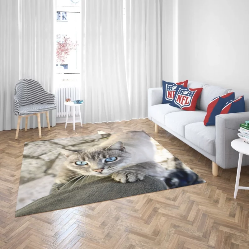 Cat Gaze Whiskered Exotic Rug 2