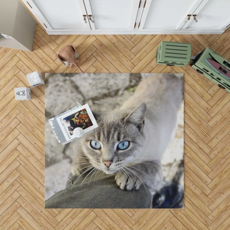 Cat Gaze Whiskered Exotic Rug