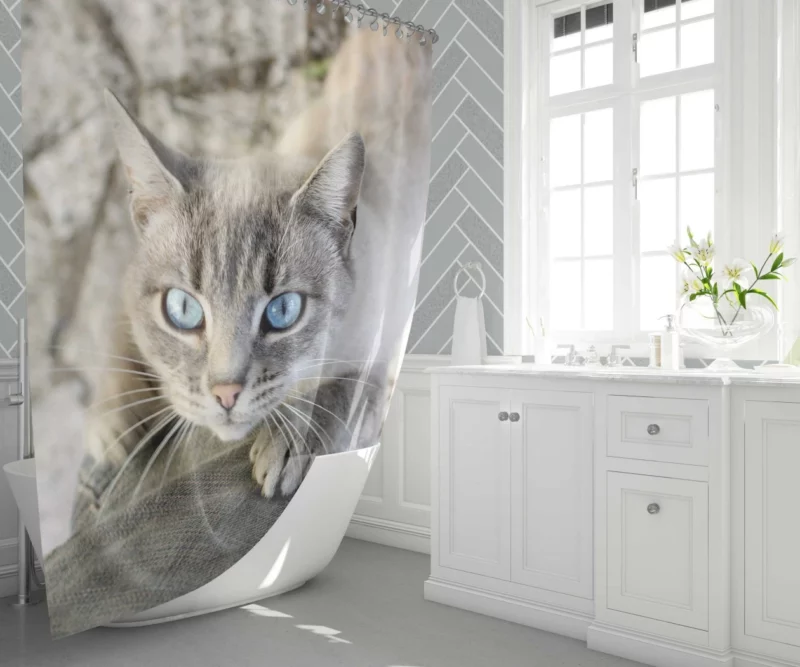 Cat Gaze Whiskered Exotic Shower Curtain 1