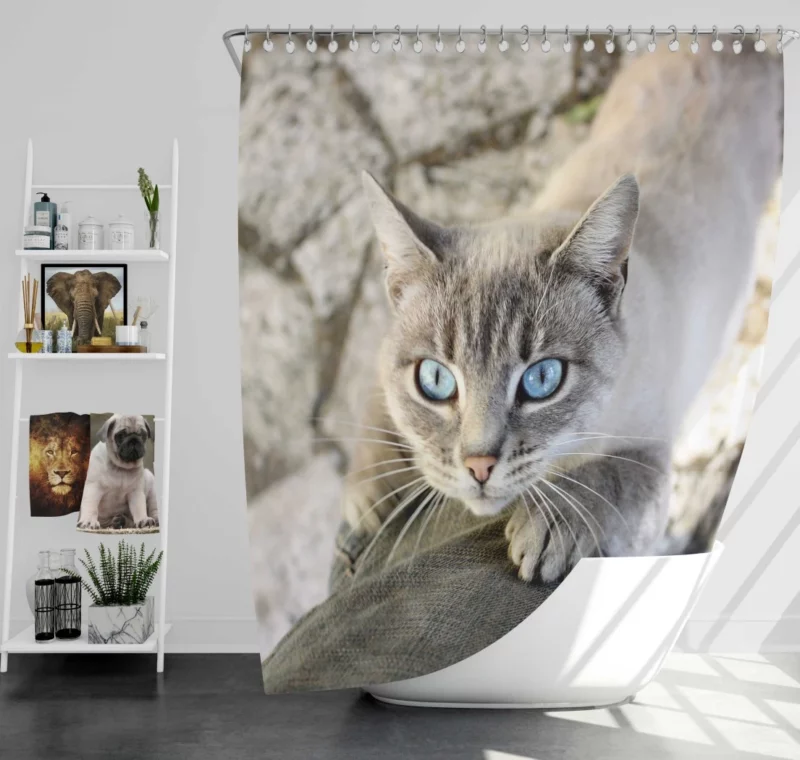 Cat Gaze Whiskered Exotic Shower Curtain