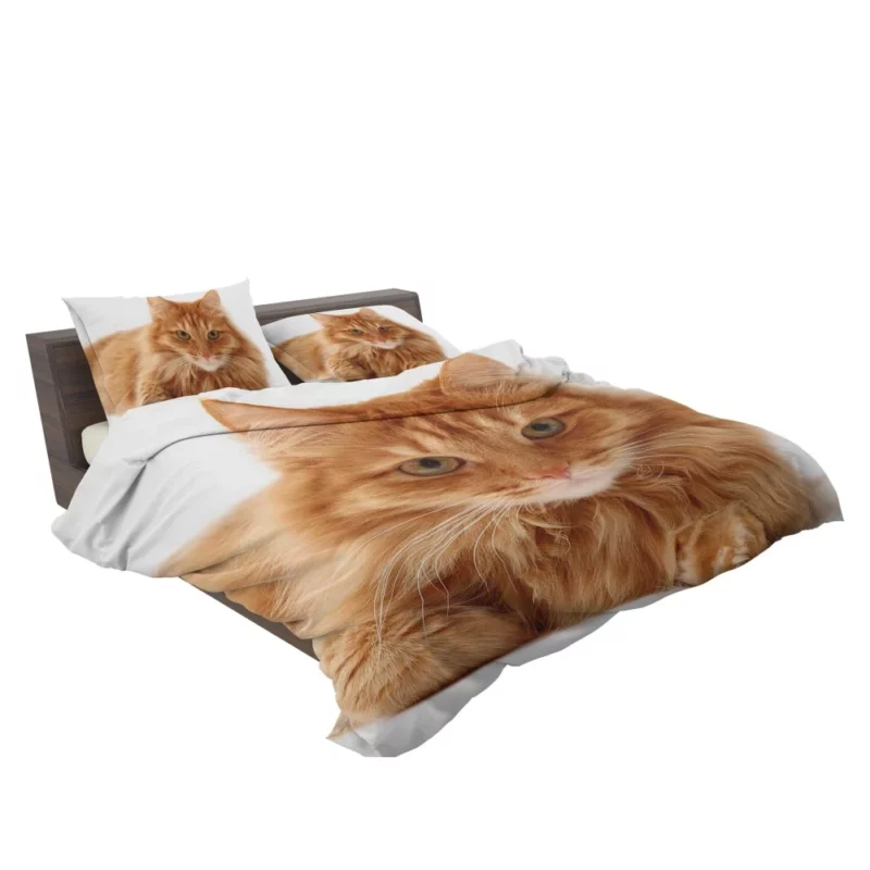 Cat Gaze Whiskered Intrigue Bedding Set 2