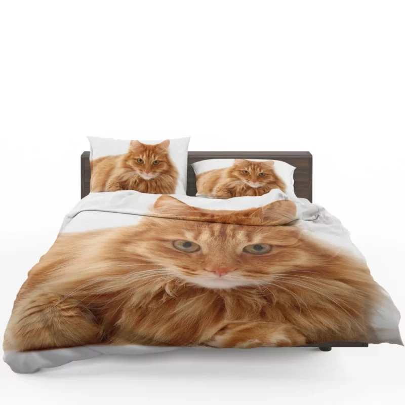 Cat Gaze Whiskered Intrigue Bedding Set