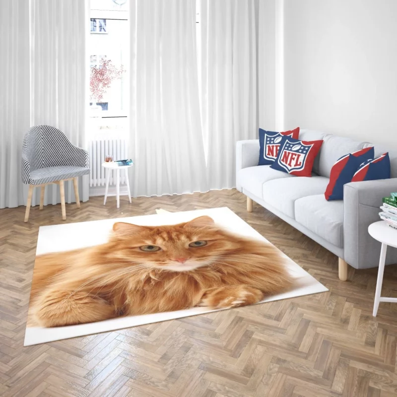 Cat Gaze Whiskered Intrigue Rug 2