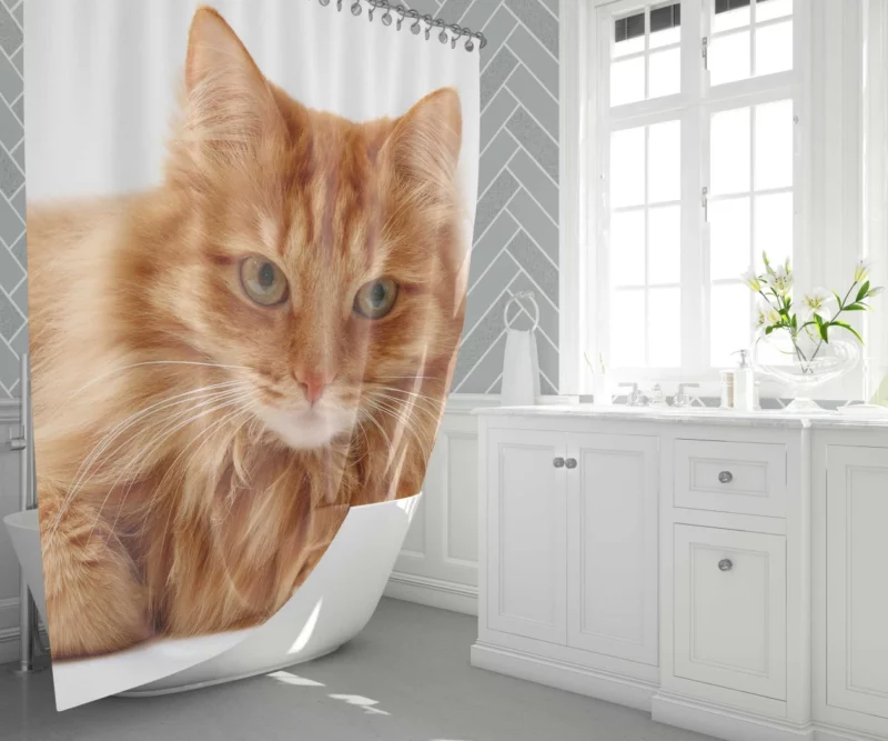 Cat Gaze Whiskered Intrigue Shower Curtain 1