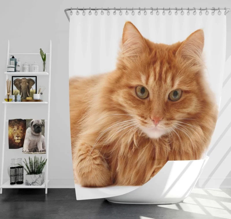 Cat Gaze Whiskered Intrigue Shower Curtain