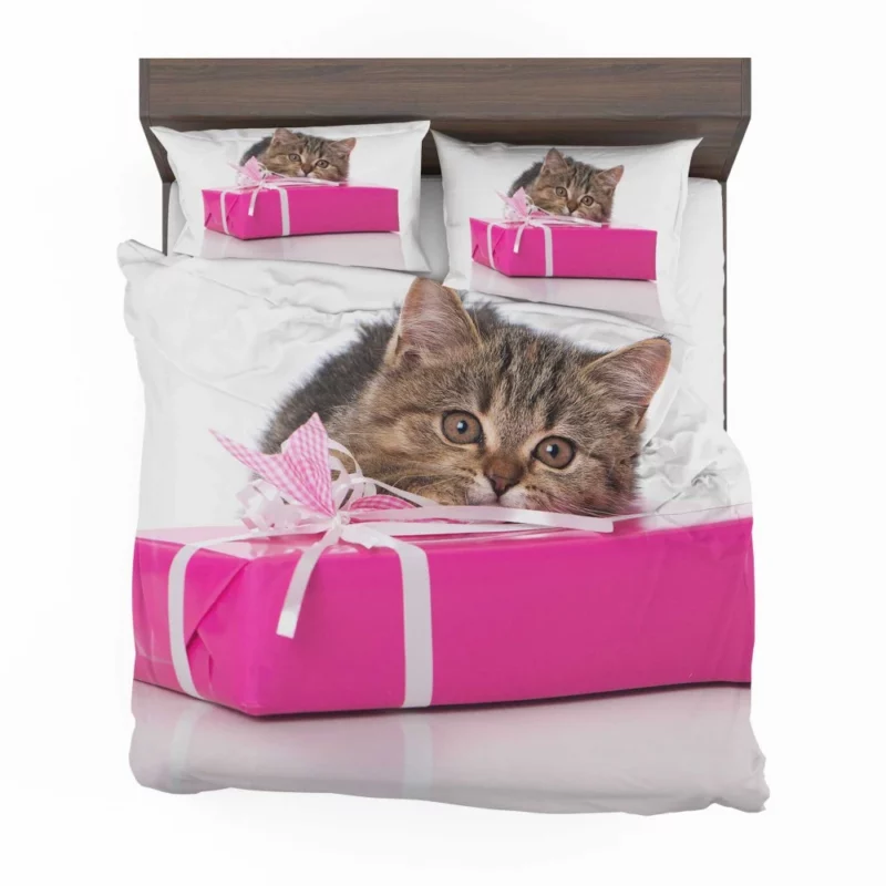 Cat Gift of Stare Enigmatic Connection Bedding Set 1