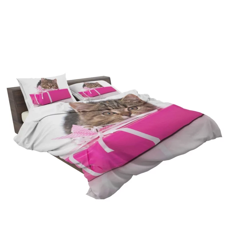 Cat Gift of Stare Enigmatic Connection Bedding Set 2