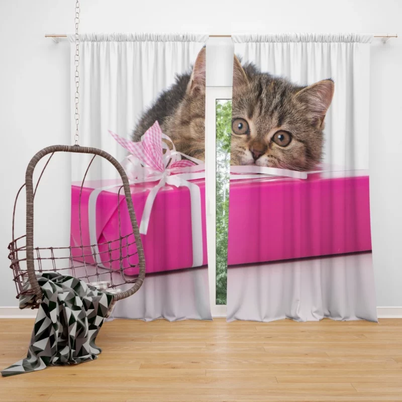 Cat Gift of Stare Enigmatic Connection Curtain