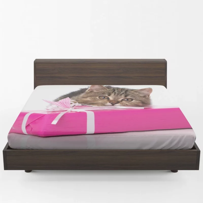 Cat Gift of Stare Enigmatic Connection Fitted Sheet