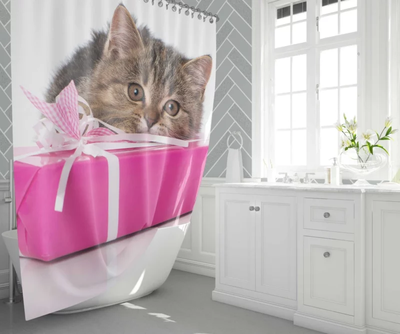 Cat Gift of Stare Enigmatic Connection Shower Curtain 1