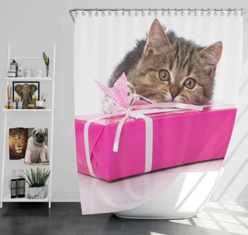 Cat Gift of Stare Enigmatic Connection Shower Curtain