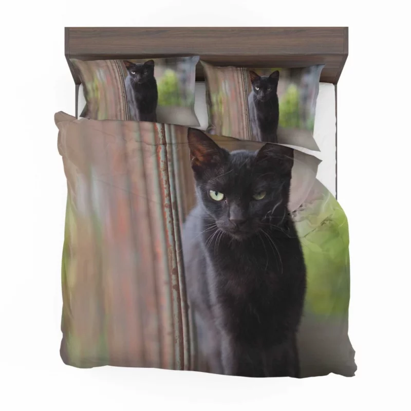 Cat Graceful Bedding Set 1