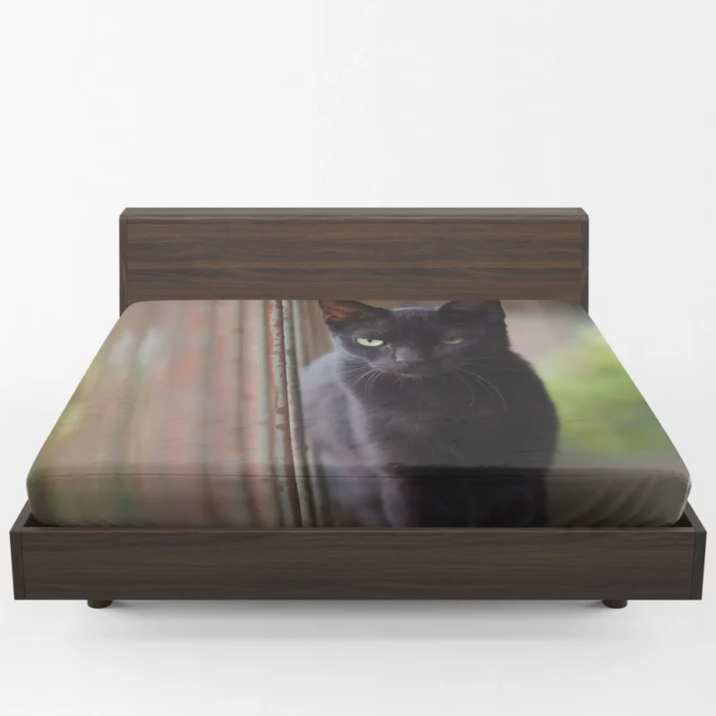 Cat Graceful Fitted Sheet