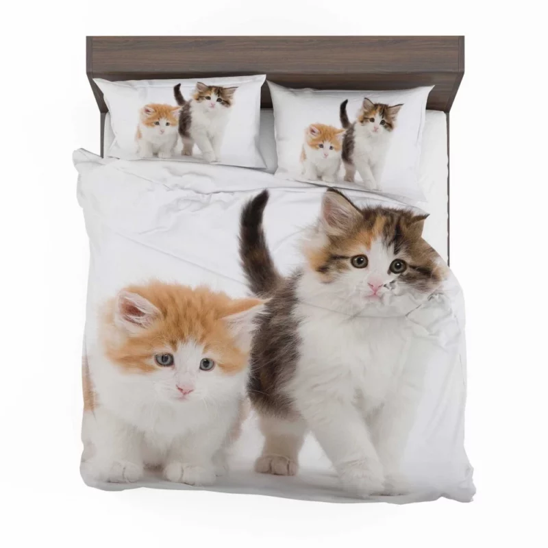 Cat Graceful Presence Feline Beauty Unveiled Bedding Set 1