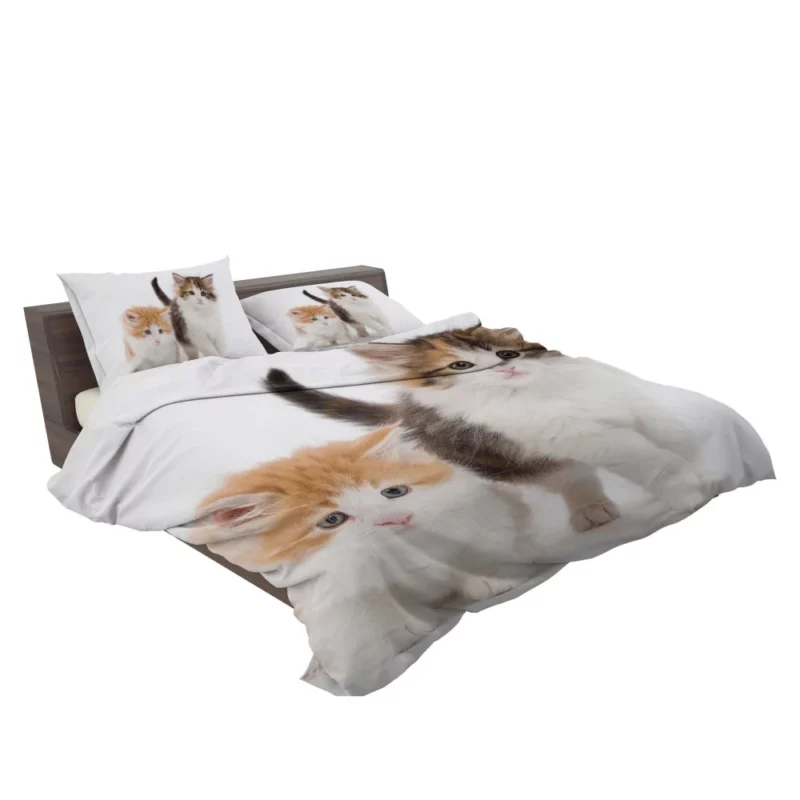 Cat Graceful Presence Feline Beauty Unveiled Bedding Set 2