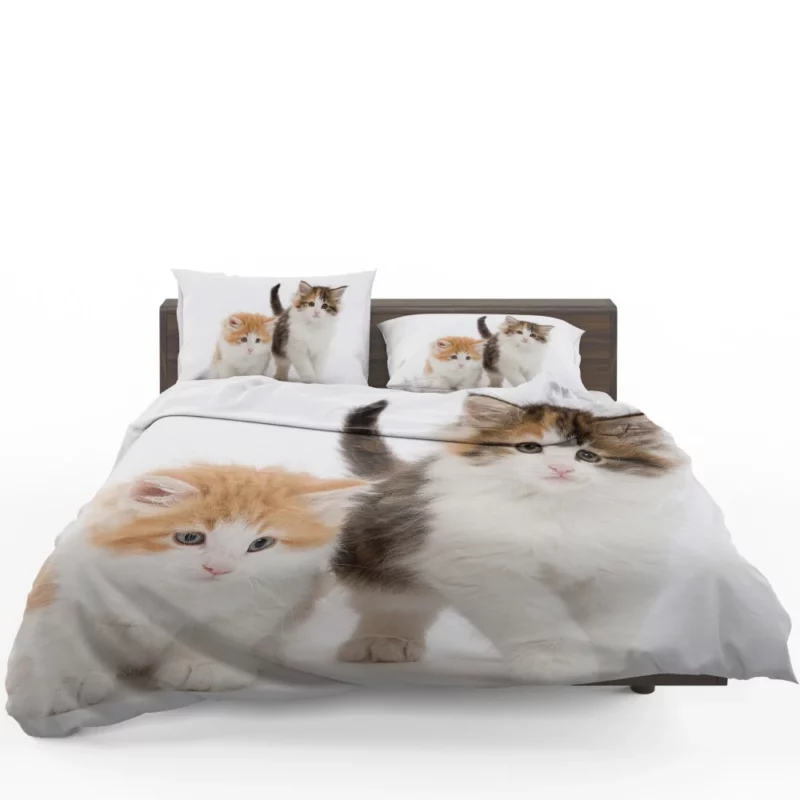 Cat Graceful Presence Feline Beauty Unveiled Bedding Set