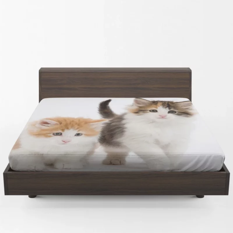 Cat Graceful Presence Feline Beauty Unveiled Fitted Sheet