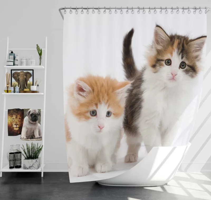 Cat Graceful Presence Feline Beauty Unveiled Shower Curtain