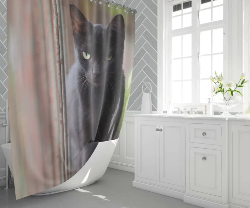 Cat Graceful Shower Curtain 1