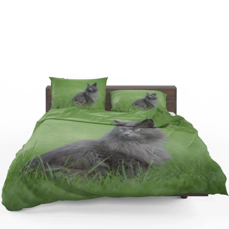 Cat Graceful Stance Feline Majesty Bedding Set