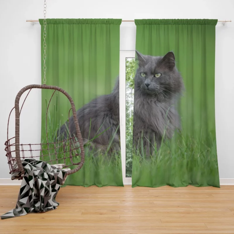 Cat Graceful Stance Feline Majesty Curtain