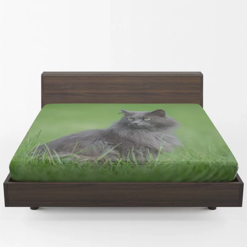 Cat Graceful Stance Feline Majesty Fitted Sheet