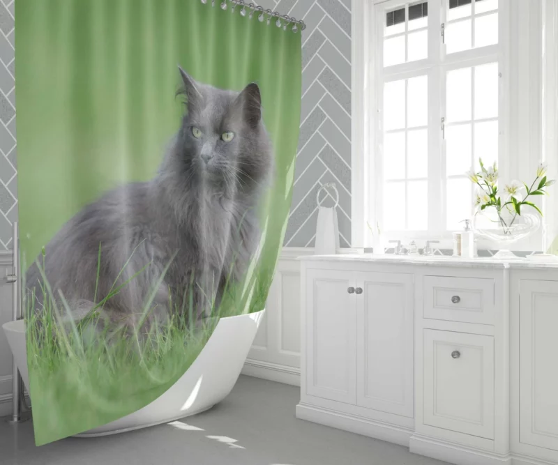 Cat Graceful Stance Feline Majesty Shower Curtain 1