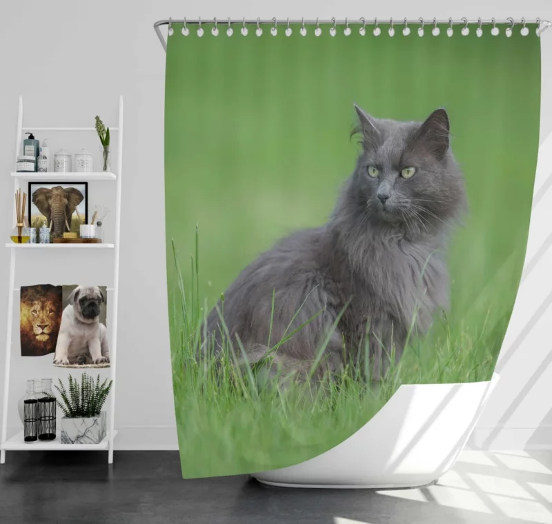 Cat Graceful Stance Feline Majesty Shower Curtain