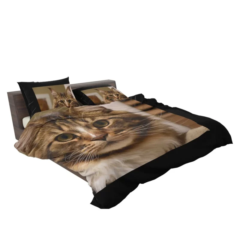 Cat Inquisitive Bedding Set 2