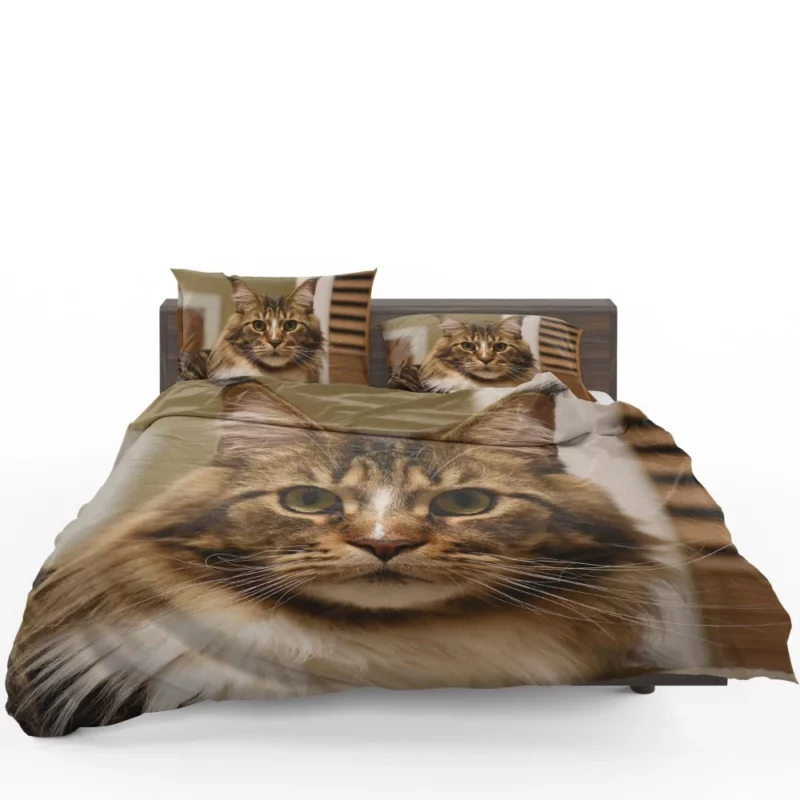 Cat Inquisitive Bedding Set