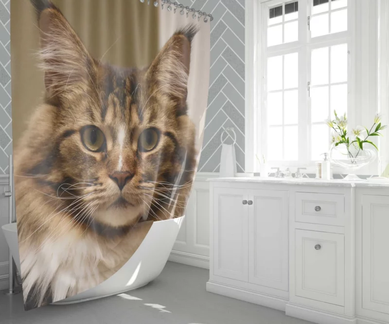 Cat Inquisitive Shower Curtain 1