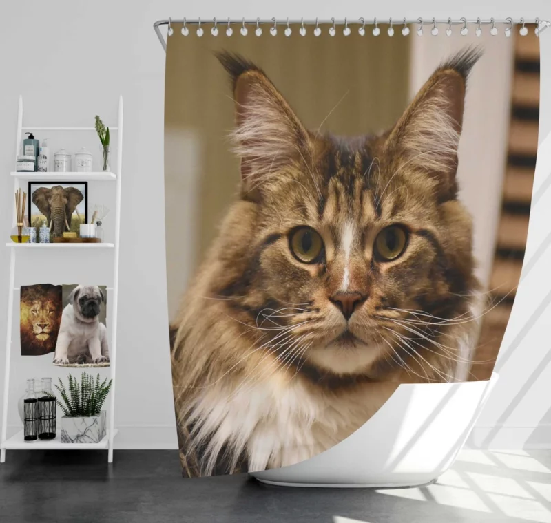 Cat Inquisitive Shower Curtain