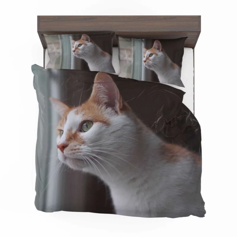 Cat Inquisitive Stance Bedding Set 1