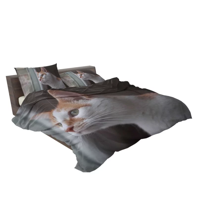 Cat Inquisitive Stance Bedding Set 2