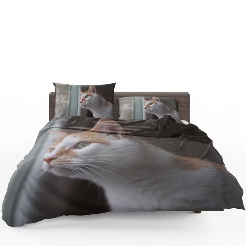 Cat Inquisitive Stance Bedding Set