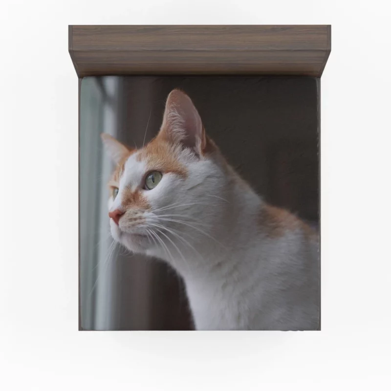 Cat Inquisitive Stance Fitted Sheet 1