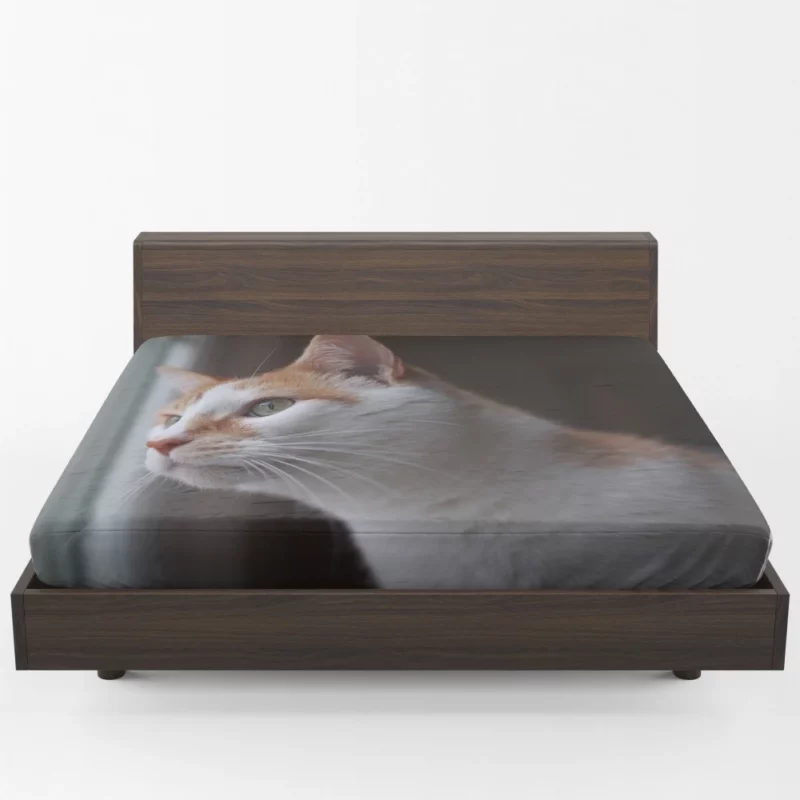 Cat Inquisitive Stance Fitted Sheet