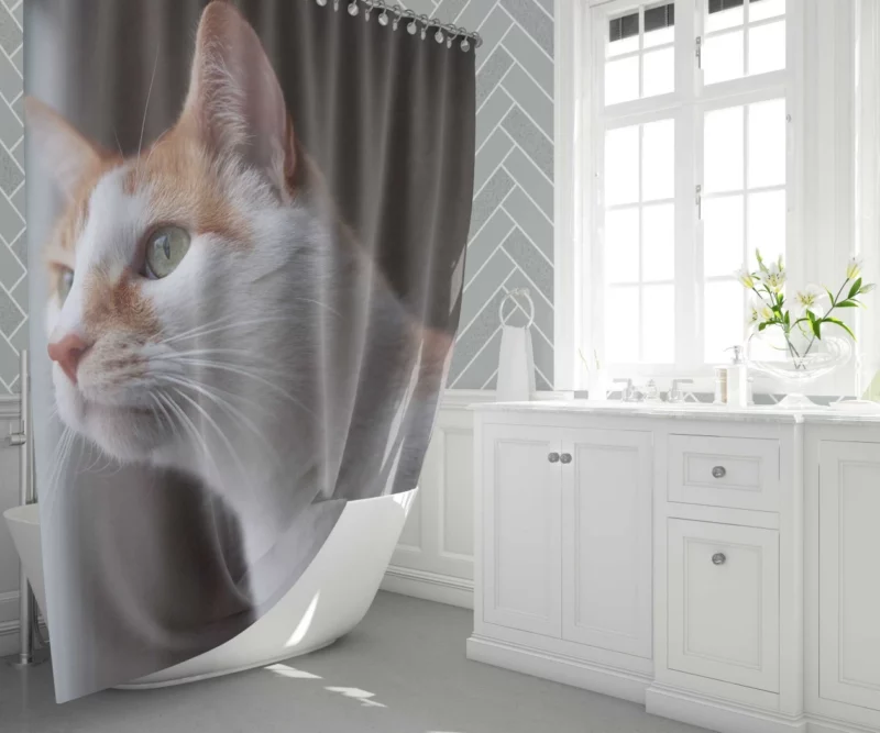 Cat Inquisitive Stance Shower Curtain 1